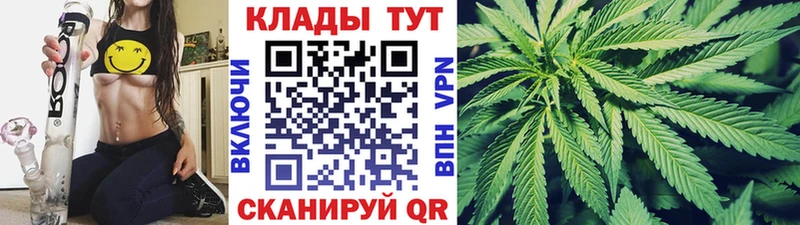 Виды наркотиков купить Алагир COCAIN  Alpha PVP  Галлюциногенные грибы  Канабис 