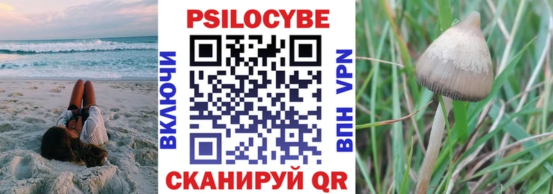 blacksprut ONION  Алагир  Псилоцибиновые грибы мухоморы 